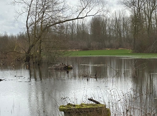 Water in de Getestreek